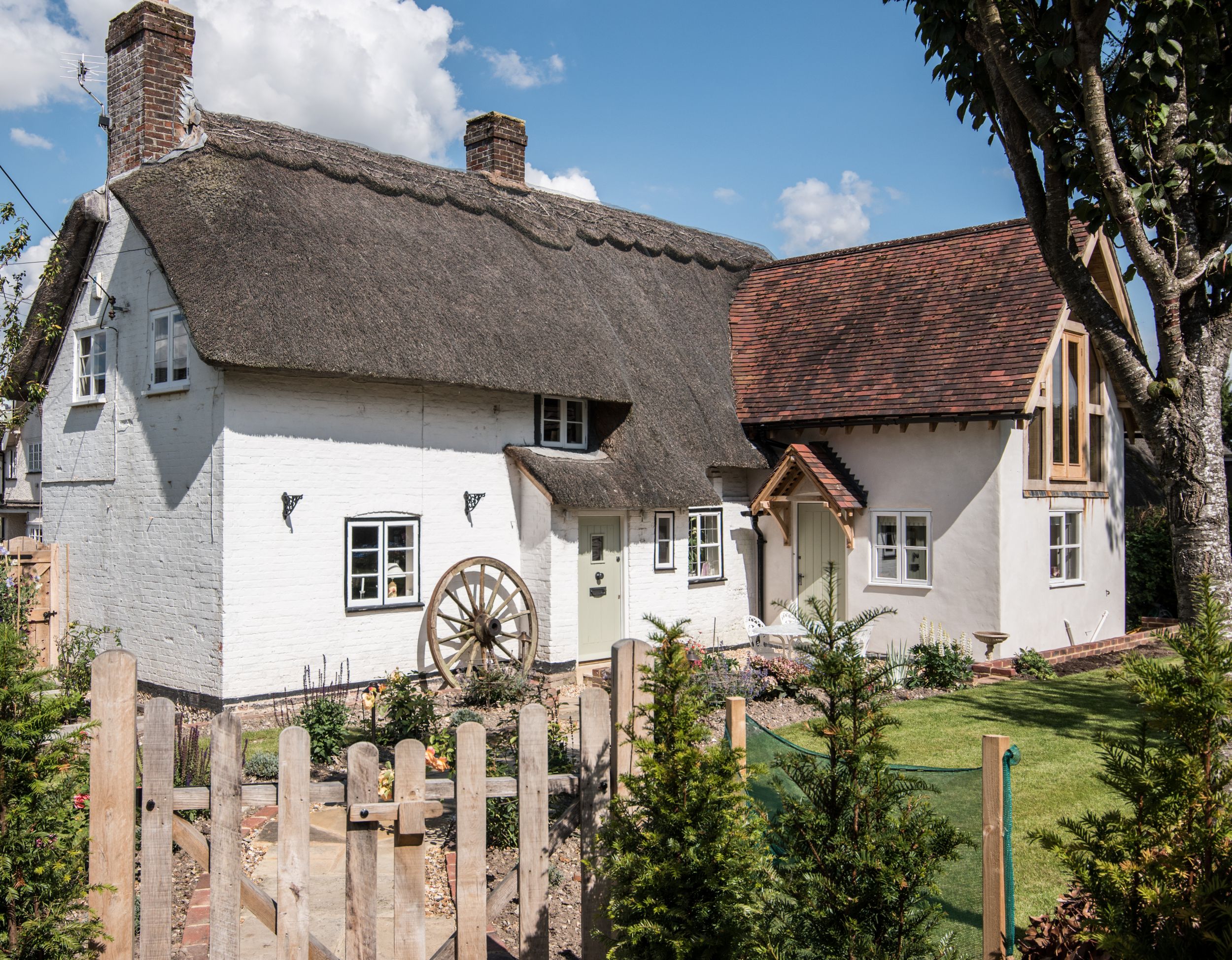 Winchester 20